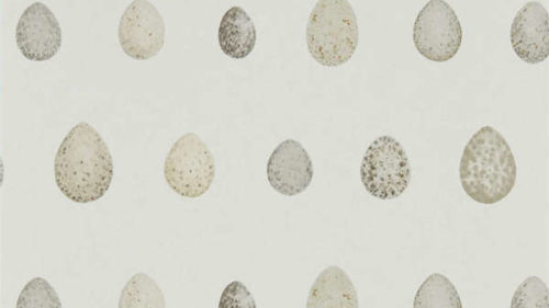 Nest Egg 216503